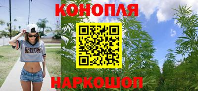 прущие крисы Кунгур