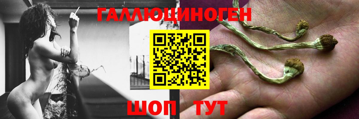 Псилоцибиновые грибы мицелий Красноперекопск